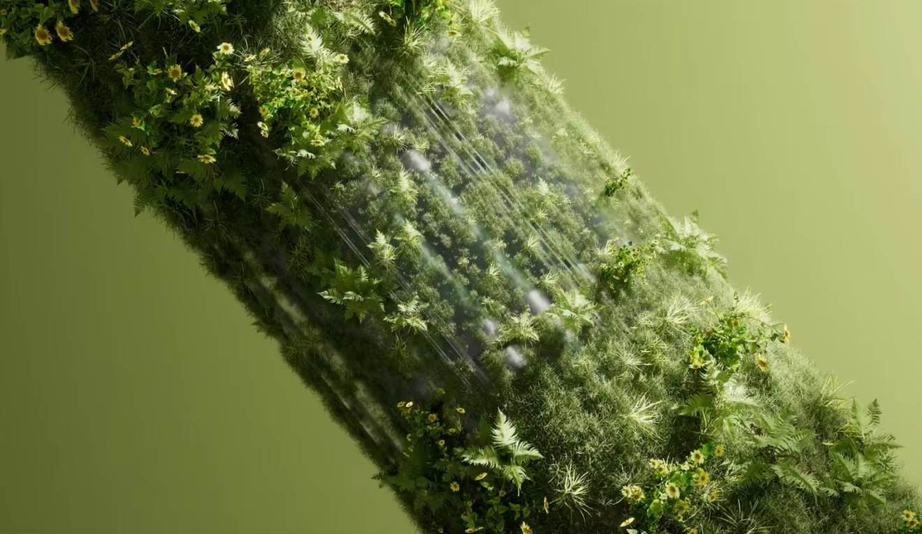 Brand film frame — a tunnel of ferns and wildflowers