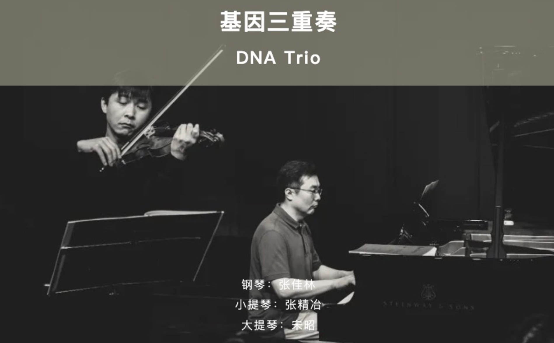 Spring, Summer, Autumn and Winter in the North - Commemorating the 130th Anniversary of Tchaikovsky's Death: DNA Trio Concert