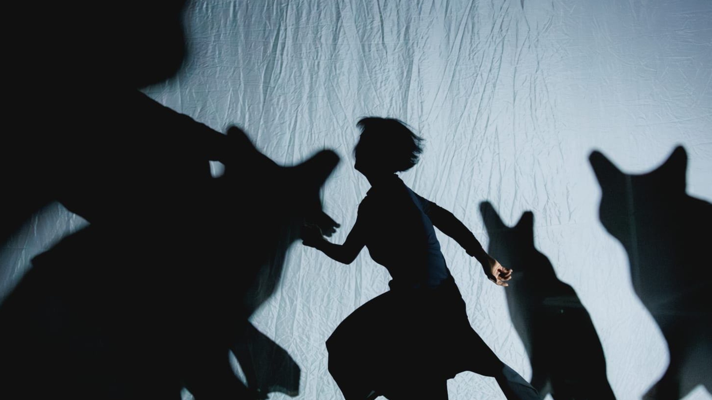 DIARY VII. THE STORY OF......