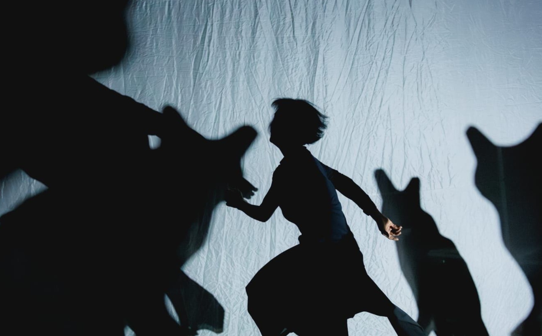 DIARY VII. THE STORY OF......