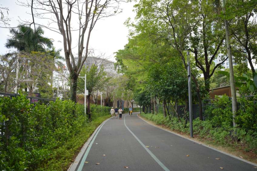 Prince Bay Area--Shenzhen Bay Marina Club (SMC)Tree-lined Path